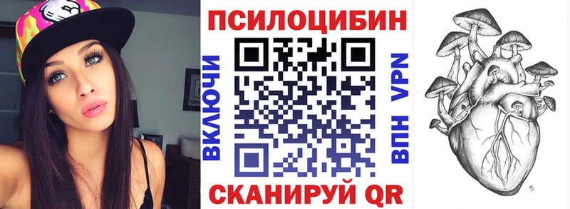 Купить где Вилюйск Псилоцибиновые грибы Psilocybe