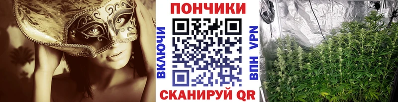 Купить закладки Вилюйск Бошки марихуана VHQ